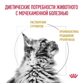 Royal Canin URINARY S/O (УРИНАРИ С/О) для кошек, способствующий растворению струвитных мочевых камней