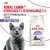 Корм для стерилизованных кошек Royal Canin Sterilised 7+ Корм сухой сбалансированный Корм для стерилизованных кошек Royal Canin Sterilised 7+ Корм сухой сбалансированный