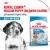 Корм для собак Royal Canin Medium Puppy Корм сухой для щенков средних размеров до 12 месяцев Корм для собак Royal Canin Medium Puppy Корм сухой для щенков средних размеров до 12 месяцев