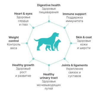 Корм Premier Dog Turkey Adult Medium для собак средних пород со свежим мясом индейки