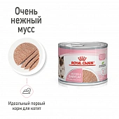 Консервы Royal Canin Babycat Instinctive (мусс) для котят с момента рождения до 4...