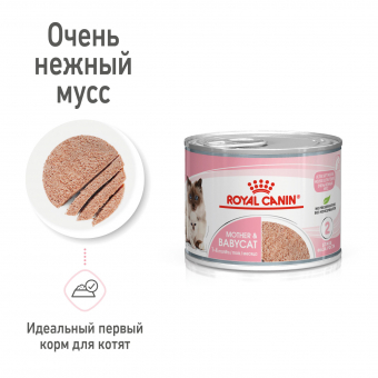 Консервы Royal Canin Babycat Instinctive (мусс) для котят с момента рождения до 4 месяцев