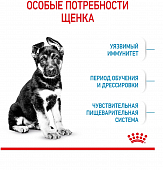 Сухой Корм Royal Canin Maxi Puppy для щенков крупных пород