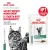 Паучи Royal Canin Satiety Weight Management для кошек, рекомендуемый для снижения веса Паучи Royal Canin Satiety Weight Management для кошек, рекомендуемый для снижения веса