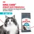 Корм для взрослых кошек Royal Canin Urinary Care Корм сухой для поддержания здоровья мочевыделительной системы Корм для взрослых кошек Royal Canin Urinary Care Корм сухой для поддержания здоровья мочевыделительной системы