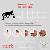 Паучи Enso полнорационный корм для взрослых кошек кусочки в соусе с ягненком
