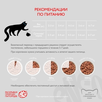 Паучи Enso Basic полнорационный корм для взрослых кошек кусочки в соусе с ягненком