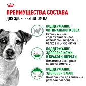 Сухой Корм для собак Royal Canin Mini Adult Корм сухой для взрослых собак мелких размеров от 10 месяцев Сухой Корм для собак Royal Canin Mini Adult Корм сухой для взрослых собак мелких размеров от 10 месяцев