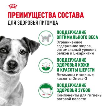 Корм для собак Royal Canin Mini Adult Корм сухой для взрослых собак мелких размеров от 10 месяцев