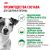 Корм для собак Royal Canin Mini Adult Корм сухой для взрослых собак мелких размеров от 10 месяцев