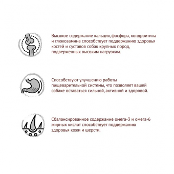 Корм Karmy Adult Dog Maxi для взрослых собак крупных пород с индейкой