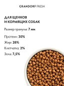 Сухой Корм Grandorf Fresh Dog Lamb Puppy All Breeds свежее мясо ягненка с бататом, для щенков беременных или кормящих собак Сухой Корм Grandorf Fresh Dog Lamb Puppy All Breeds свежее мясо ягненка с бататом, для щенков беременных или кормящих собак