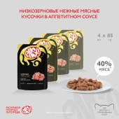 Паучи Enso Basic полнорационный корм для взрослых кошек кусочки в соусе с курицей