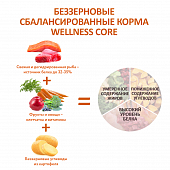 Сухой Корм Wellness Core для взрослых собак всех пород из лосося с тунцом