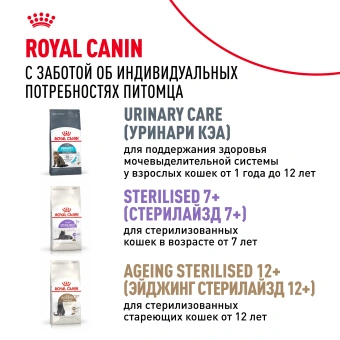Корм для кошек Royal Canin Sterilised 37 сухой сбалансированный для стерилизованных кошек