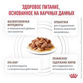 Паучи Royal Canin Gastrointestinal Moderate Calorie для кошек, склонных к набору веса при расстройствах пищеварения
