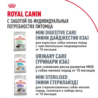 Корм для собак Royal Canin Chihuahua Adult сухой для взрослых собак породы Чихуахуа от 8 месяцев