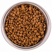 Сухой Корм Monge Cat Speciality Line Monoprotein для котят и беременных кошек, из форели Сухой Корм Monge Cat Speciality Line Monoprotein для котят и беременных кошек, из форели