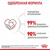 Консервы Royal Canin Babycat Instinctive (мусс) для котят с момента рождения до 4 месяцев