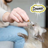 Лакомство Dreamies для кошек с лососем