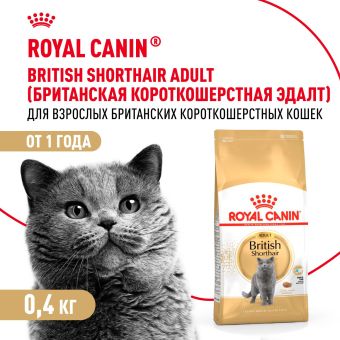 Корм сухой сбалансированный Royal Canin British Shorthair Adult для взрослых британских короткошерстных кошек