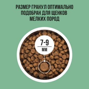 Корм Bowl Wow для щенков мелких пород с индейкой, рисом и шпинатом