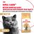 Корм сухой сбалансированный Royal Canin British Shorthair Adult для взрослых британских короткошерстных кошек