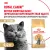Корм сухой сбалансированный Royal Canin British Shorthair Adult для взрослых британских короткошерстных кошек Корм сухой сбалансированный Royal Canin British Shorthair Adult для взрослых британских короткошерстных кошек