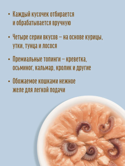 Паучи Деревенские Лакомства для кошек лосось с осьминогом в нежном желе