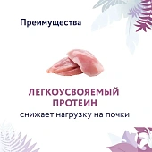 Корм Florida Preventive Line Renal для кошек для поддержание здоровья почек Корм Florida Preventive Line Renal для кошек для поддержание здоровья почек