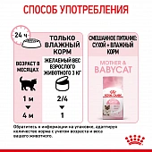 Консервы Royal Canin Babycat Instinctive (мусс) для котят с момента рождения до 4 месяцев Консервы Royal Canin Babycat Instinctive (мусс) для котят с момента рождения до 4 месяцев