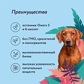 Сухой Корм Florida для собак крупных пород с ягнёнком и грушей Сухой Корм Florida для собак крупных пород с ягнёнком и грушей