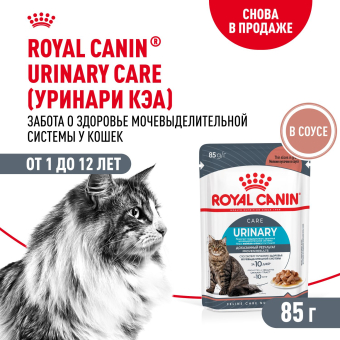 Паучи Royal Canin Urinary Care для взрослых кошек для поддержания здоровья МКБ системы мелкие кусочки в соусе