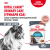 Паучи Royal Canin Urinary Care для взрослых кошек для поддержания здоровья МКБ системы мелкие кусочки в соусе