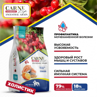Корм Carni Medium Maxi для средних и крупных пород собак слососем, апельсином и клюквой
