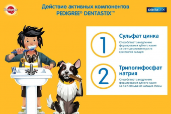 Лакомство по уходу за зубами Pedigree Denta Stix для собак крупных пород