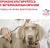Корм Royal Canin Gastrointestinal Low Fat Small Dog для собак маленьких пород при нарушении пищеварения