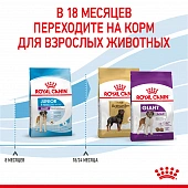 Royal Canin Giant Junior корм сухой для щенков очень крупных размеров до 8 месяцев