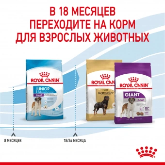 Royal Canin Giant Junior корм сухой для щенков очень крупных размеров до 8 месяцев