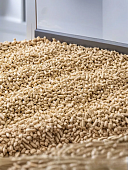 Комкующийся наполнитель Japan Premium Pet для смывания в туалет "Окинава"