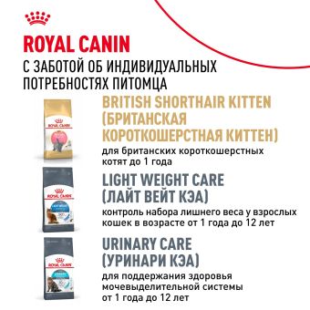 Корм сухой сбалансированный Royal Canin British Shorthair Adult для взрослых британских короткошерстных кошек