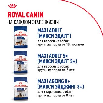 Корм для собак Royal Canin Maxi Puppy Корм сухой для щенков крупных размеров до 15 месяцев