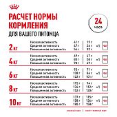 Паучи Royal Canin Mini Ageing 12+ для собак маленьких пород собак в возрасте сраше 12 лет