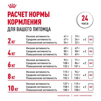 Паучи Royal Canin Mini Ageing 12+ для собак маленьких пород собак в возрасте сраше 12 лет