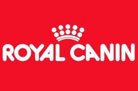 Скидка 10% на большие мешки сухих кормов для собак марки Royal Canin!