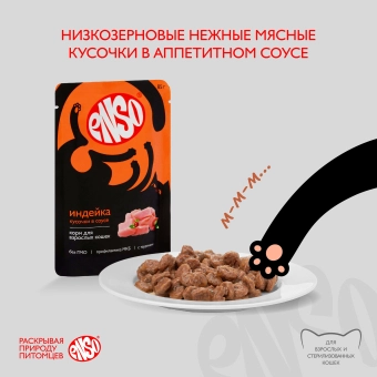 Паучи Enso Basic полнорационный корм для взрослых кошек кусочки в соусе с индейкой