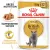 Паучи Royal Canin British Shorthair Adult для взрослых кошек породы Британская короткошерстная Паучи Royal Canin British Shorthair Adult для взрослых кошек породы Британская короткошерстная