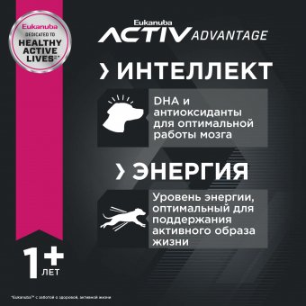 Eukanuba Adult Large Breed 1+ years корм сухой для взрослых собак крупных и очень крупных пород от года и старше