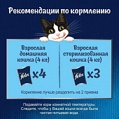 Влажный корм Felix Природа вкуса для взрослых кошек с говядиной в соусе Влажный корм Felix Природа вкуса для взрослых кошек с говядиной в соусе