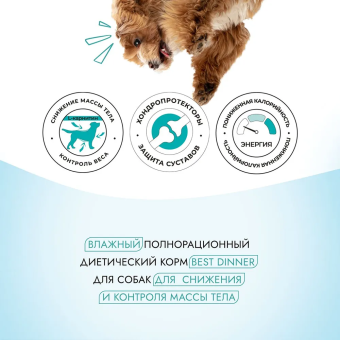 Банки Best Dinner Vet Profi Obesity для собак при для контроля избыточной массы тела с лососем